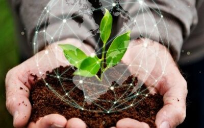 CRDC é autorizada para registro de Cédula do Produtor Rural (CPR) no Brasil