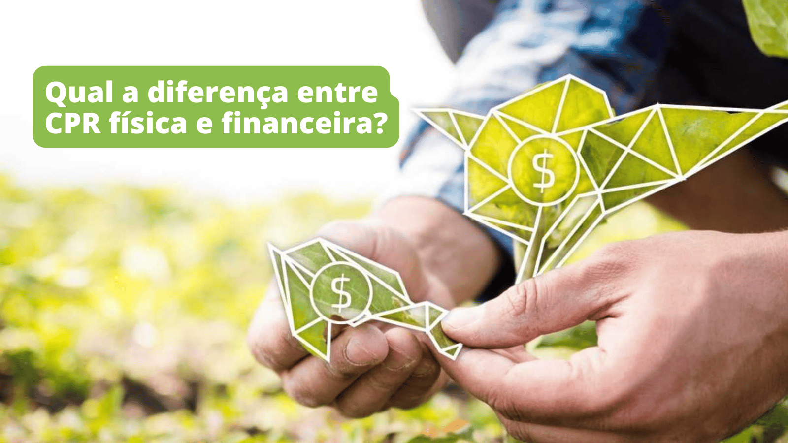 Cópia de Capa artigo blog (2)