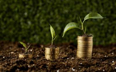 CPR Financeira: Entendendo o Conceito e sua Importância no Mercado Atual